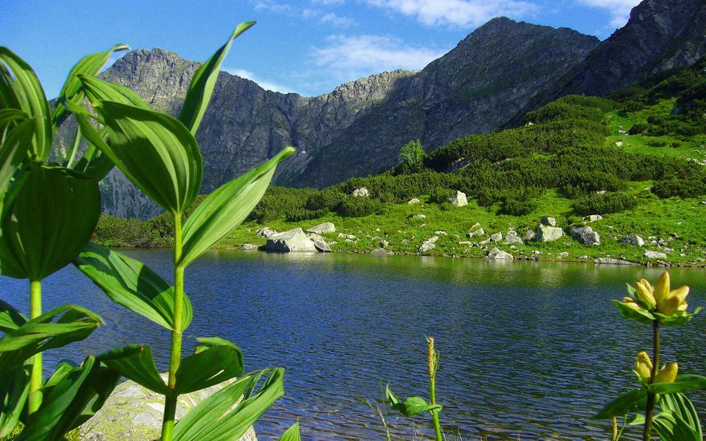 Apartamento Legenda Tatr Zakopane Exterior foto